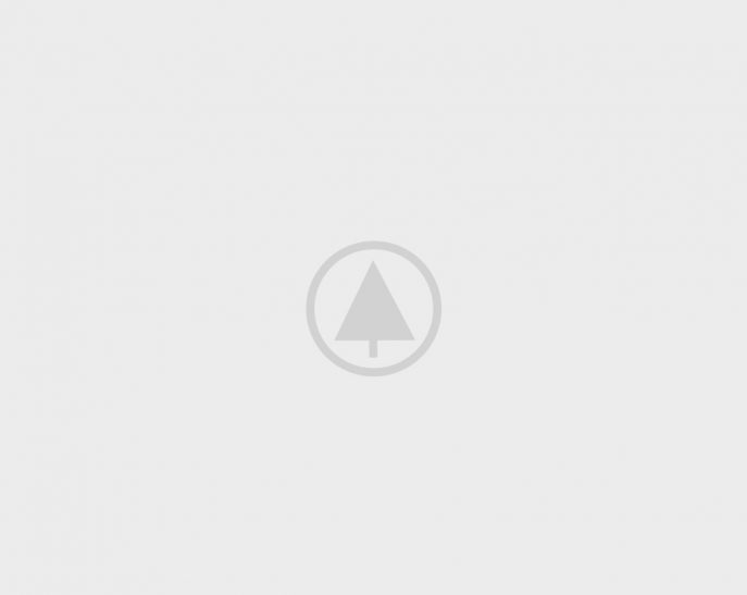 wood-gallery-placeholder-5 wood-gallery-placeholder-5